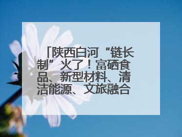 陕西白河“链长制”火了！富硒食品、新型材料、清洁能源、文旅融合齐发力